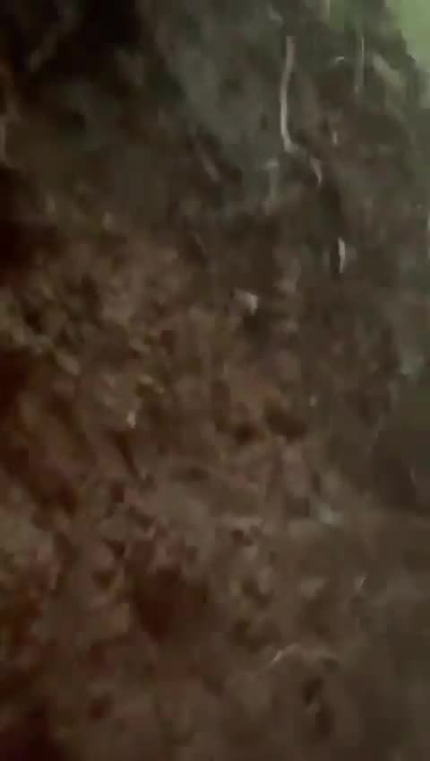 Chechen soldier films video content but something went wrong.