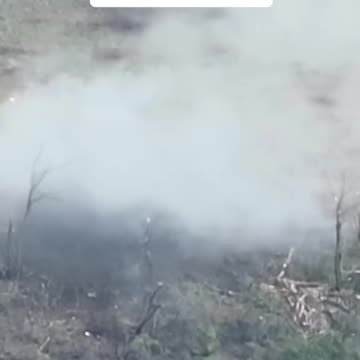 Don't go, you'll die anyway, sooner or later