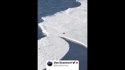 Scavino Instagram | NEVER - GIVE - UP