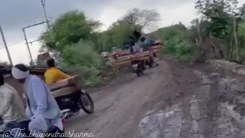 Cutting wood from the forest department Taking wood from the forest department