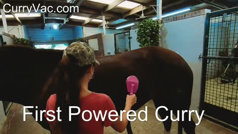 Curry Vac
