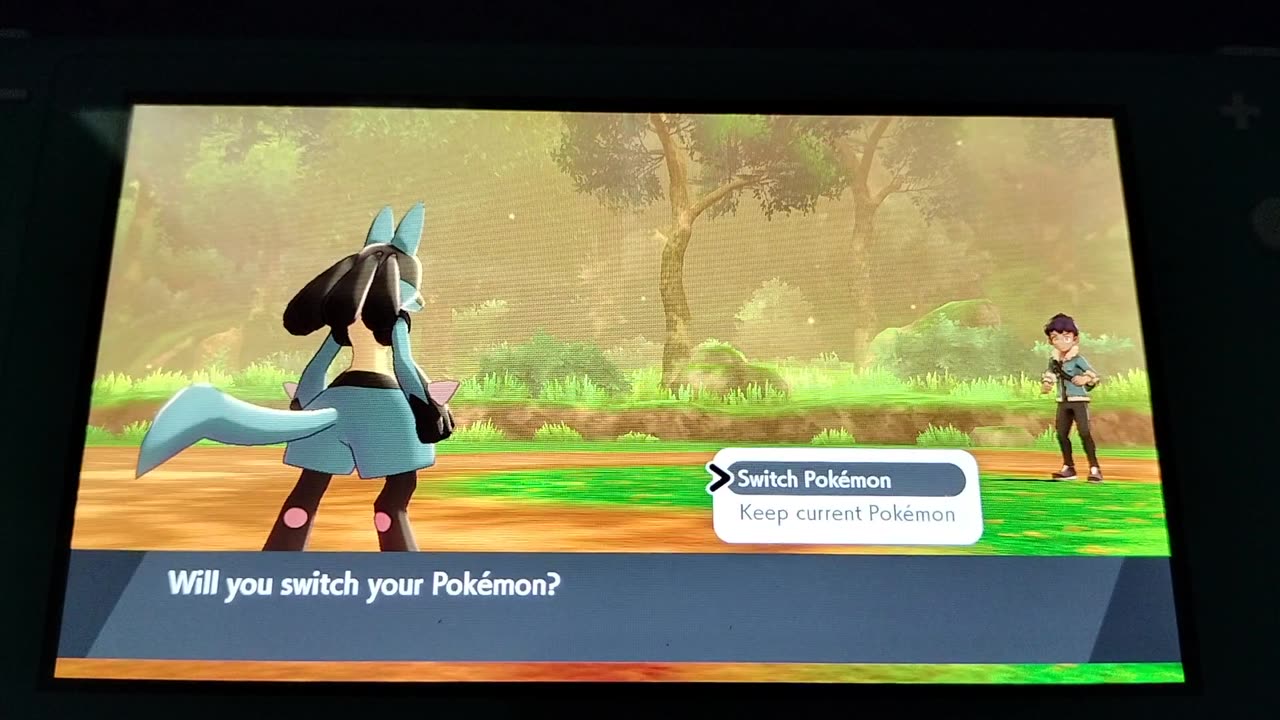 Pokemon Sword:Battle Where It All Began