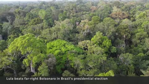 Lula wins Brazil’s presidential election, ousting incumbent Bolsonaro