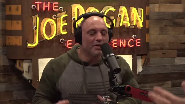 Talking about the future with Joe Rogan and Tim Dillon