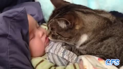 Cats Love Babies