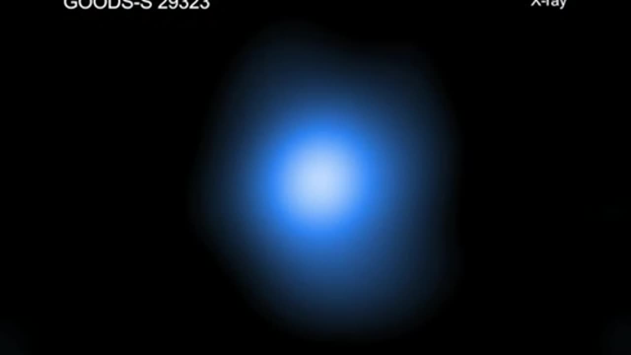 A Tour of Black Hole Seeds