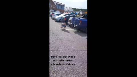 Help the car behind to get back on the road and repair the car.