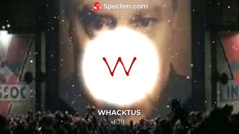 Whacktus - F.J.B.