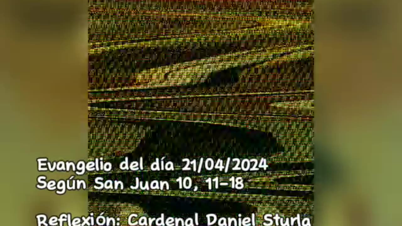 Evangelio del día 21/04/2024 según San Juan 10, 11-18 - Cardenal Daniel Sturla