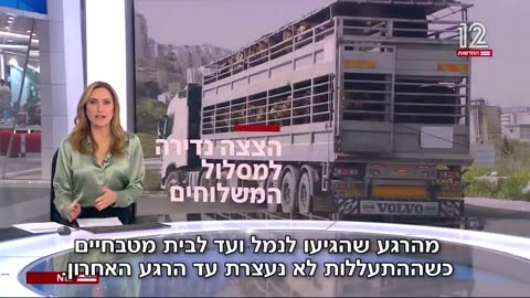 מה קורה לבעלי החיים מהמשלוחים החיים אחרי שהם מגיעים לארץ עמותת אנימלס