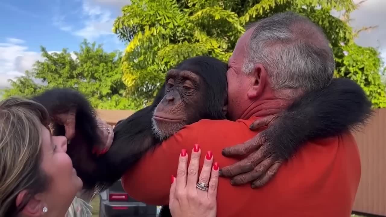 Animals Reunited With Owners AFTER YEARS!