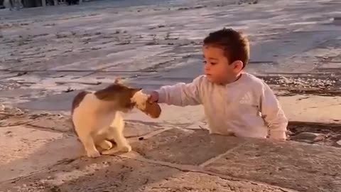 A Palestinian boy shares his bread with a cat