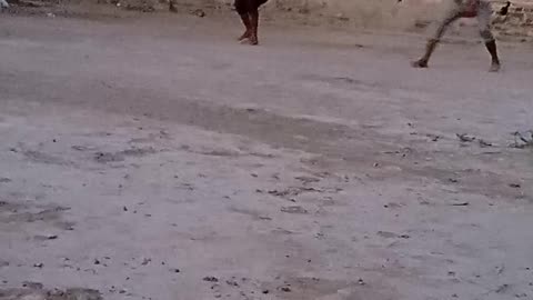 Volleyball match nice 🙂🙂🙂🙂 video and live 😎😎😎