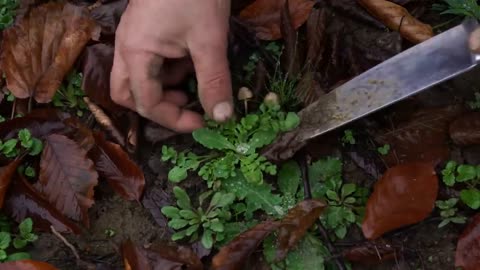 The beauty of outdoor cooking #19