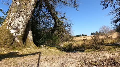 Ground tour of riverside campsite.