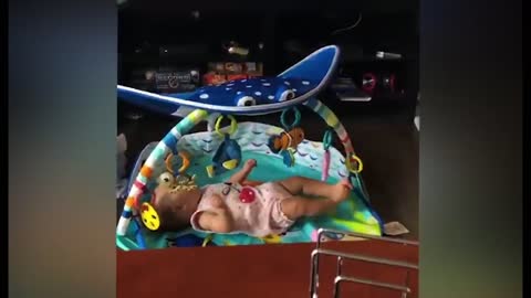 Cutest Babies Play With Dogs And Cats Compilation