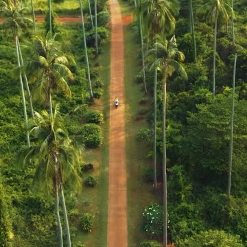 Incredible Escapes: Exotic Locations You Won't Believe Exist