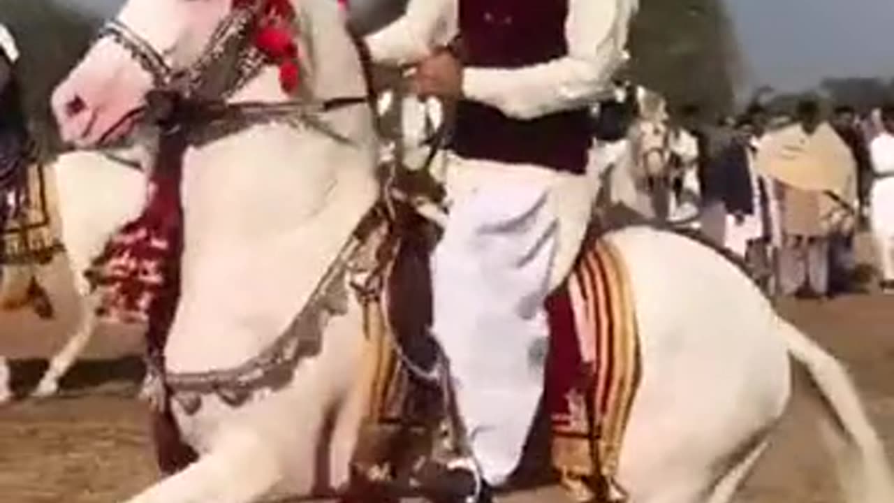 Ch khuda Yaar Mahdi