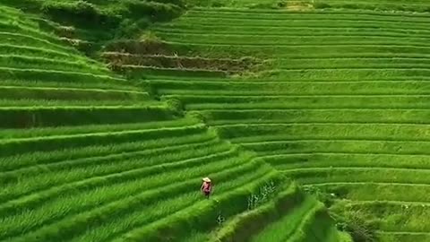 Beautiful view 🪟👍 video Choy chotay sampnay ho best song