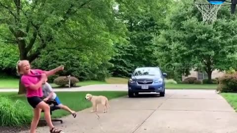 Funny amazing video full watch