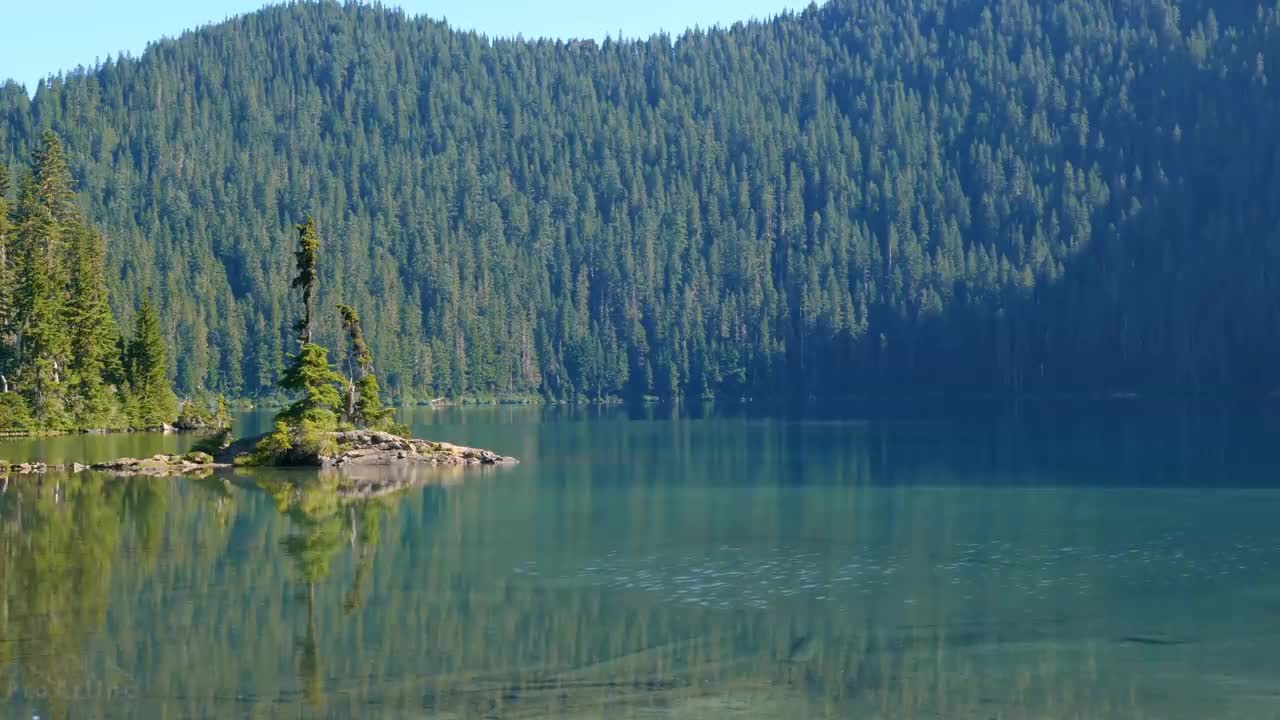 Mount Rainier National Park - Nature Relax Video, Summer Scenery