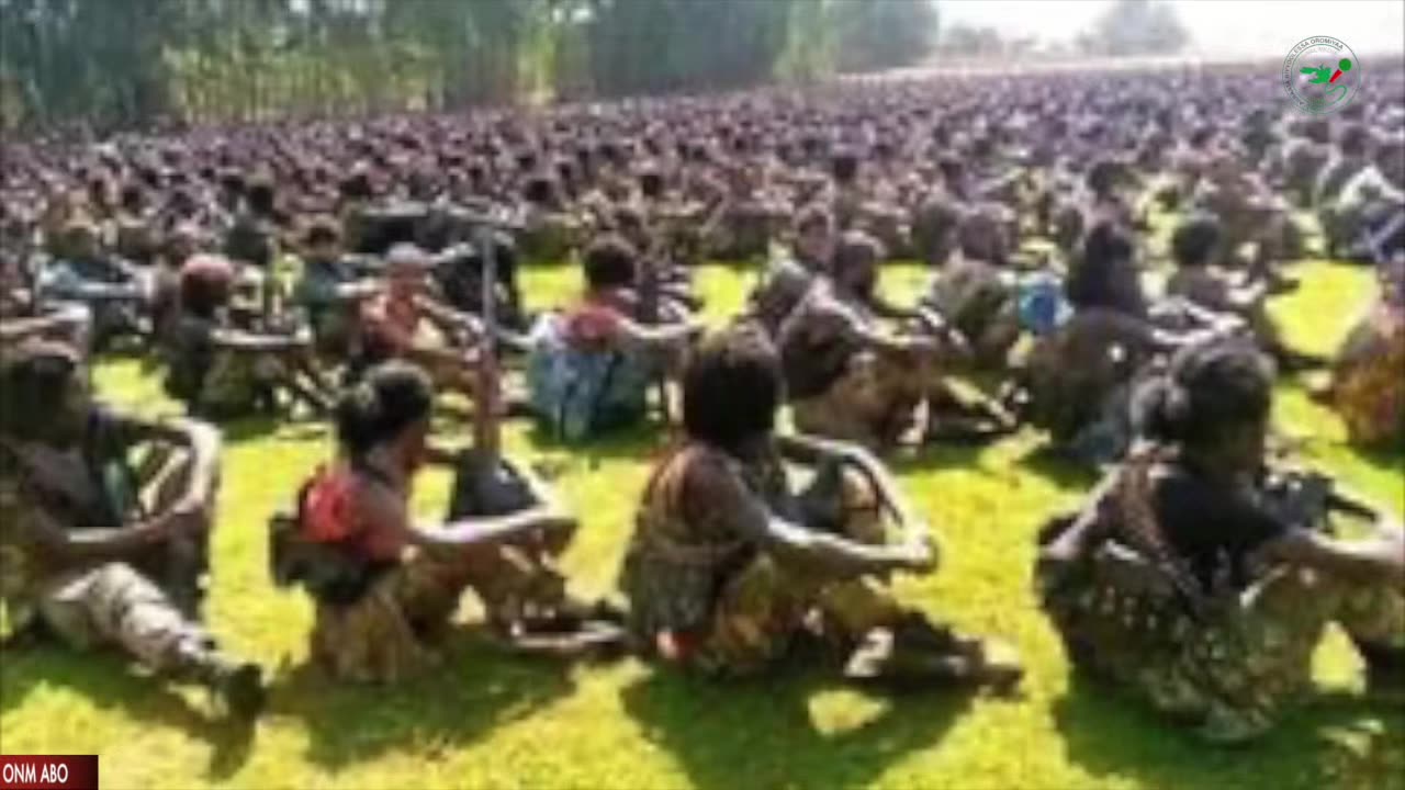 Oduu Tarkaanfii ONM-ABO Sadaasa 10-2024 itti dhiyaadhaa!