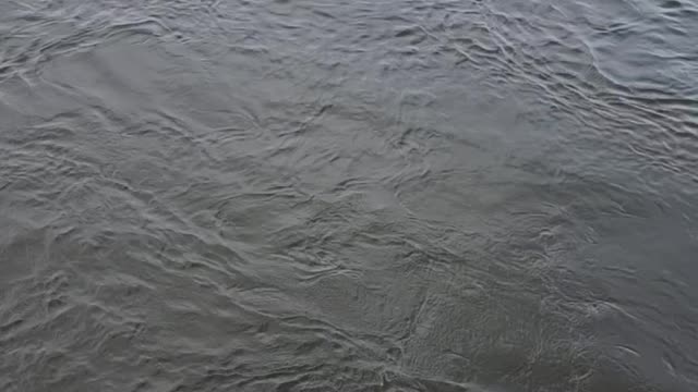 The one that got away