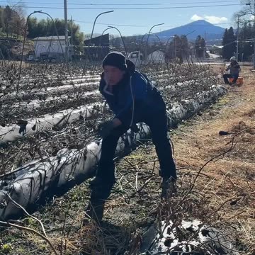 Family Time ____----⛰️