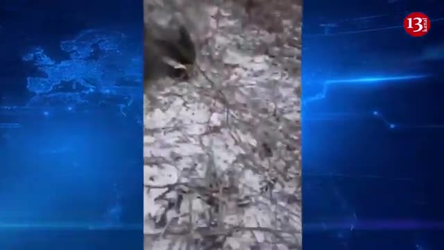 “Russians’ corpses frozen under snow in Ukrainian steppes-“No one takes them, they’re left in forest