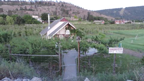 Fruit Stand