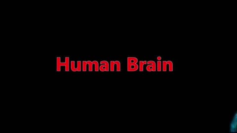 #human #organs #facts #interestingfacts