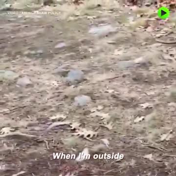 Wenn man vom Mainstream "krank" gemacht wurde !