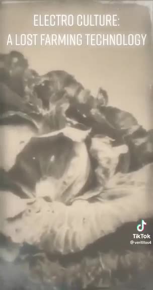 Electron Culture - a lost farming technology