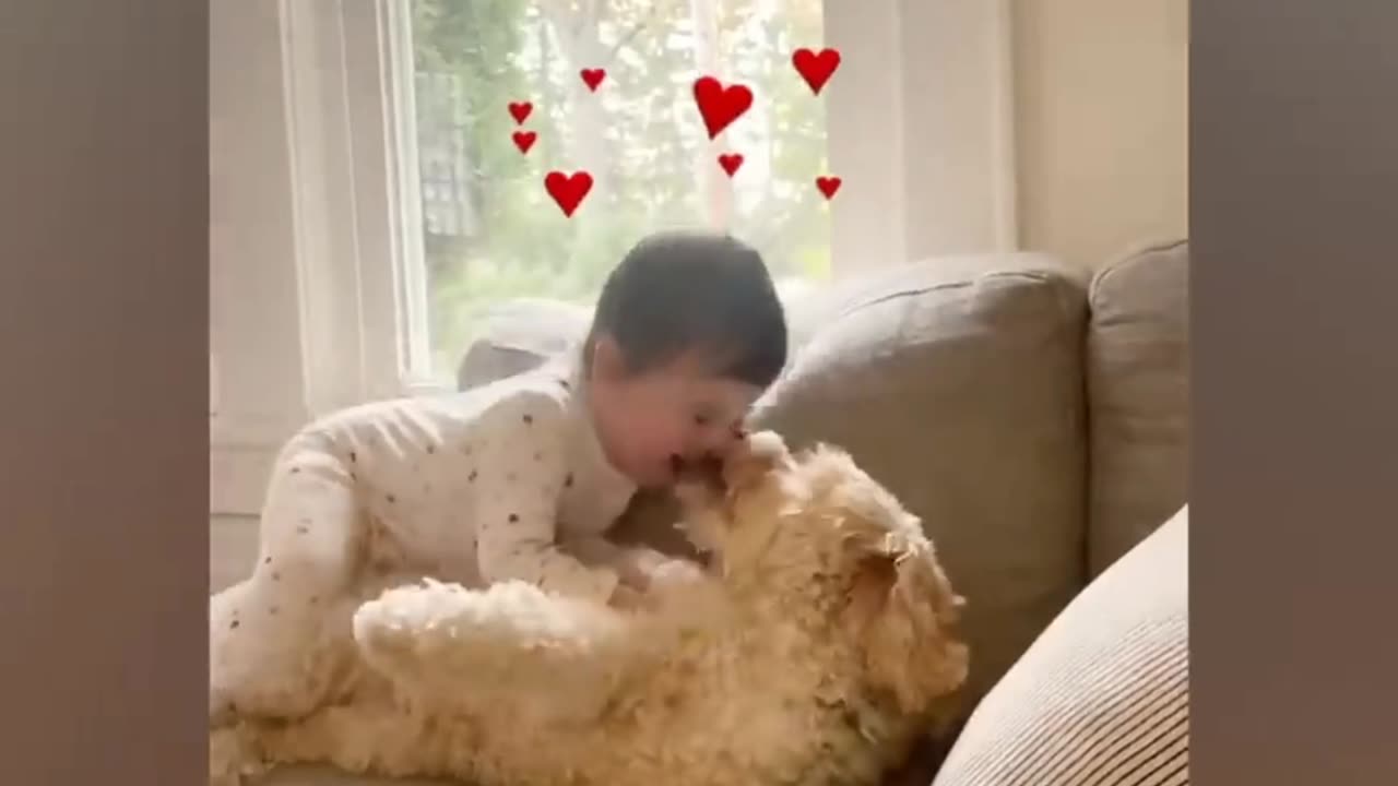 Babies playing with dog