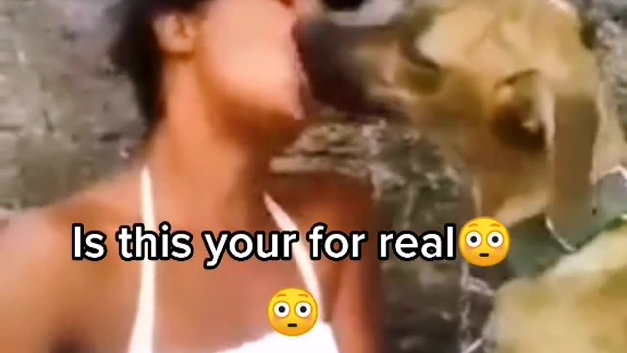 The dog kiss a lady