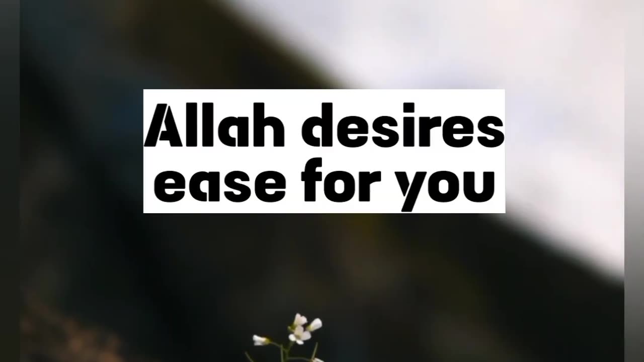 Surah Al Baqarah (The cow) 02-185 | Relaxing Quran English Translation | QURANIC MEDITATION