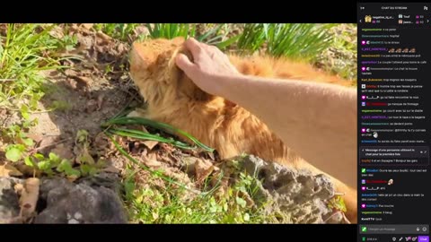 2023-03-05 (2bis.3) - Ça rentre ? + Chat - Twitch Decheterie (version avec chat)