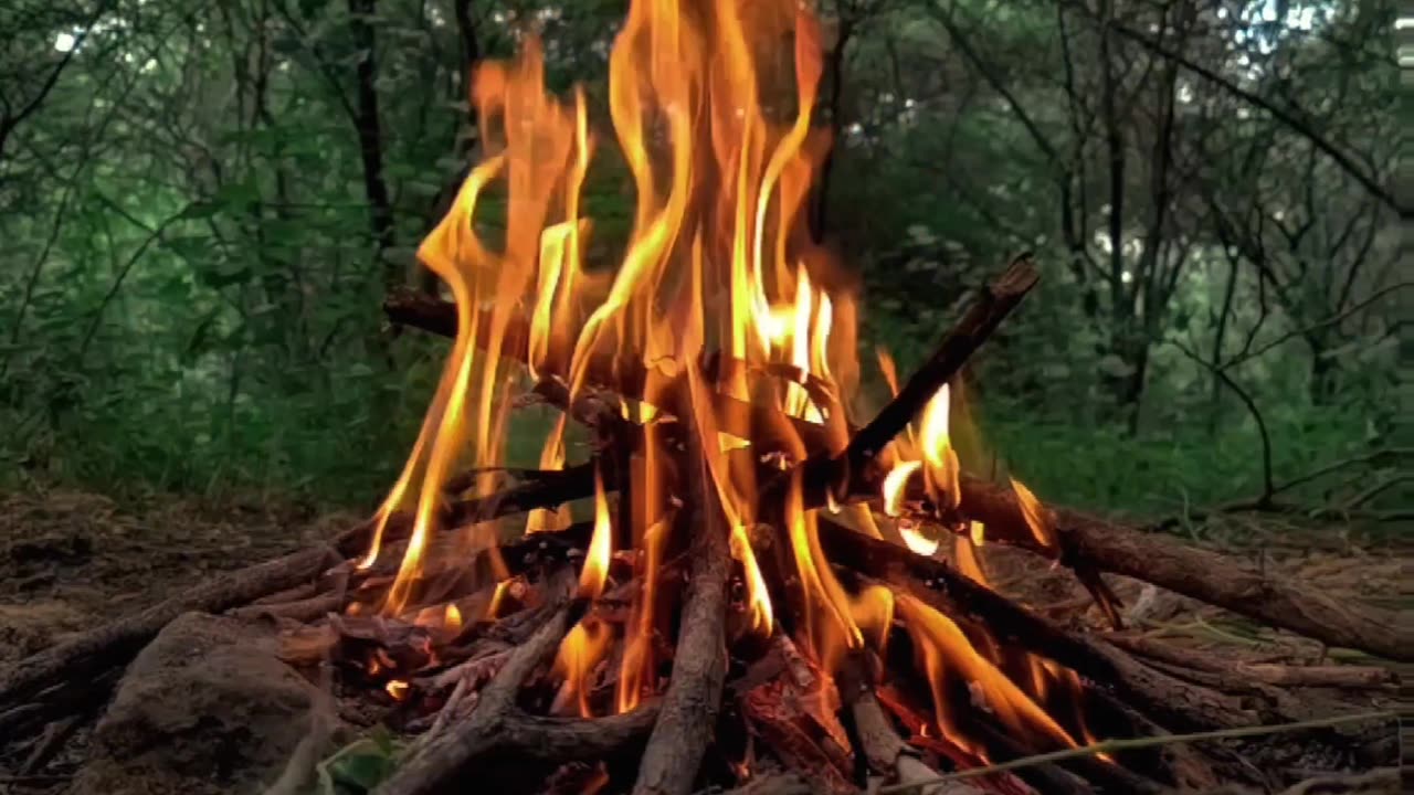 Burning fire video in slow motion