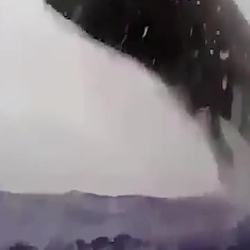 humped whale back flip