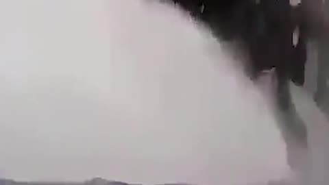 humped whale back flip