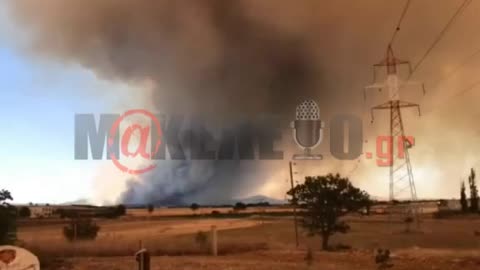 Φωτιά στην Αλεξανδρούπολη