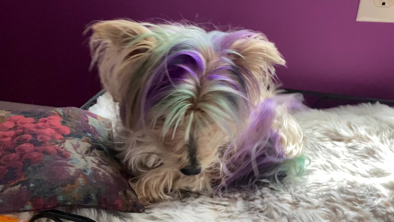 Darla