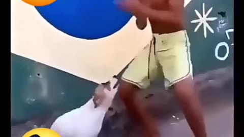 Funny video