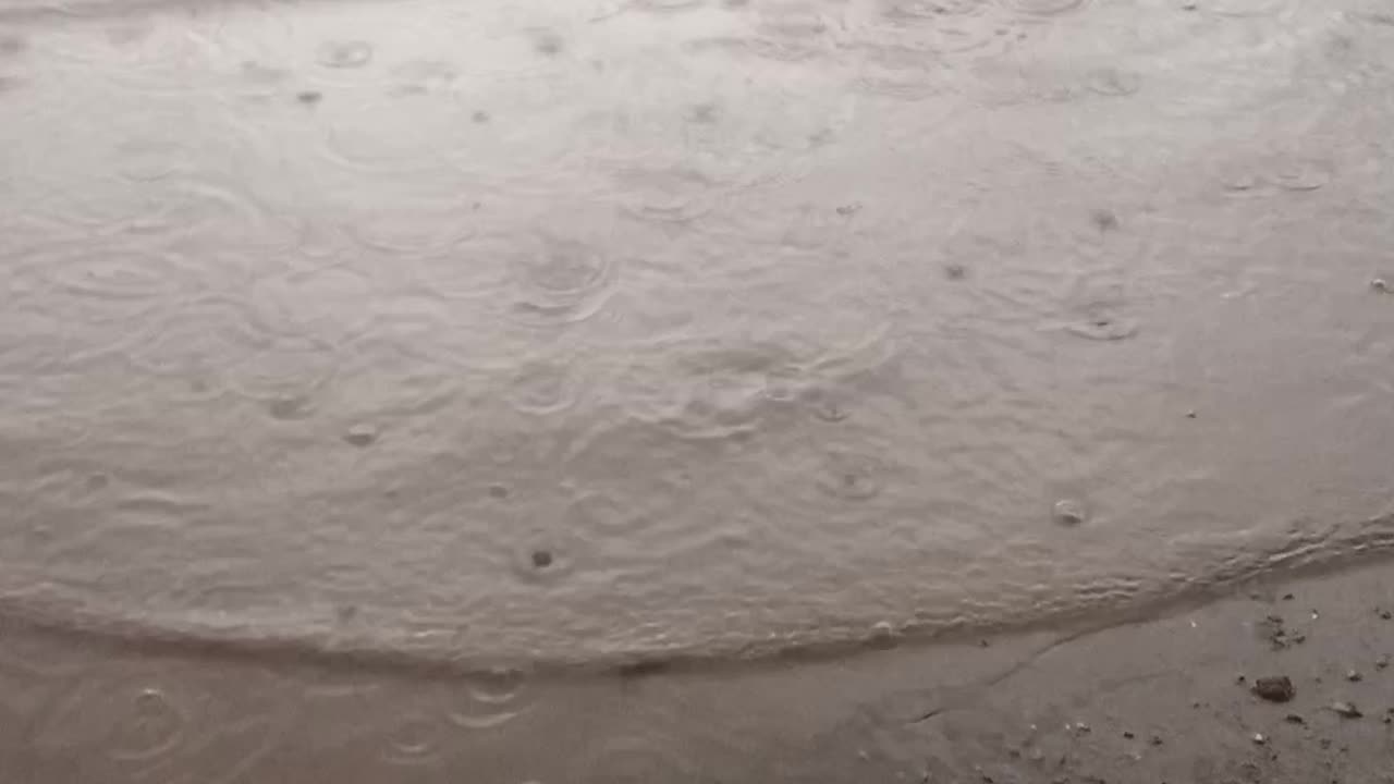 The scene after the rain