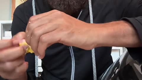 Rock Mercury Eating Jackfruit