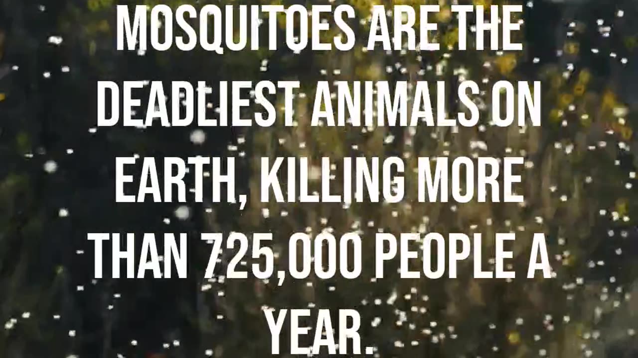 Deadliest Assassins