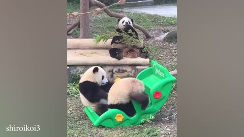 10 Minutes of Funniest Animals Compilation!!! 😂😂😂💯