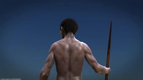 evolution from ape to man.