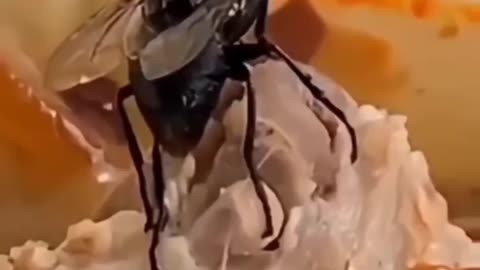 Cute and adorable animal behavior makes anyone happy to see it