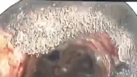 Here's a look inside a vaccinated person